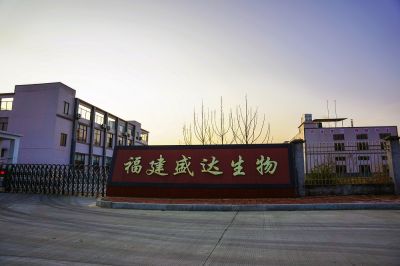 企業(yè)風(fēng)采